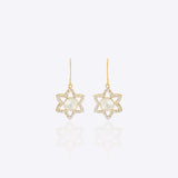Star Chic Earrings