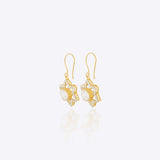 Star Chic Earrings