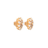 Inflorescence Polki Diamond Earrings