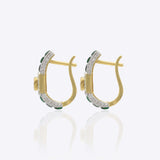 Kaira Polki Earrings