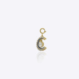 Moon Crescent Charm