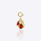 Lucky Charm Bug