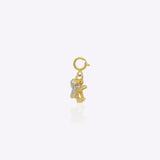 Fly High Charm