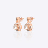 Clarity Polki Diamond Earrings