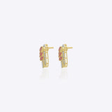 Royal Paisley Earrings